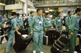 Gần 36.000 lao động Việt Nam đi làm việc ở nước ngoài